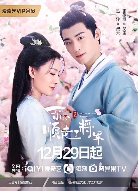 武打枪战电影大全,武打枪战电影大全完整版